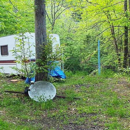 Camping Le P'Tit Bonheur Escaro Екстериор снимка
