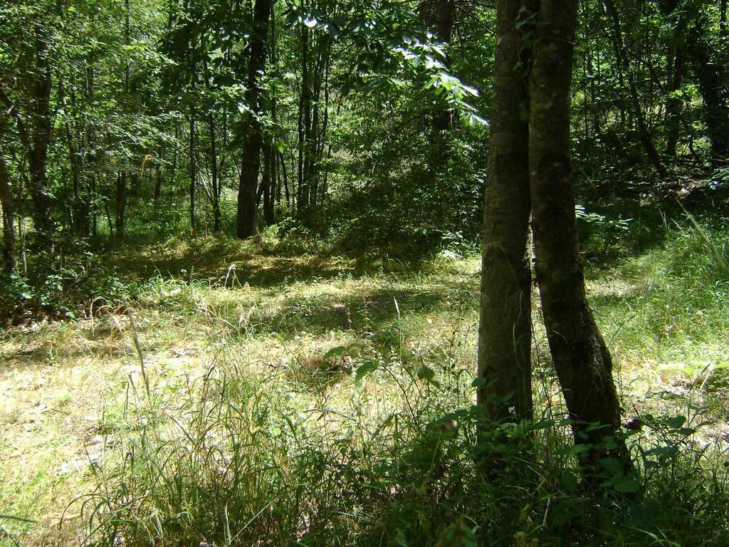 Camping Le P'Tit Bonheur Escaro Екстериор снимка