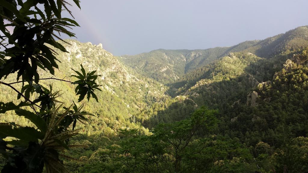 Camping Le P'Tit Bonheur Escaro Екстериор снимка